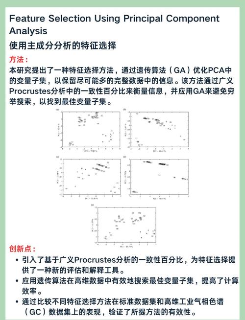 特征片段优化内容格式示例图