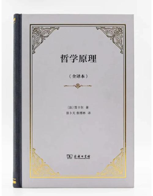 圆孔的哲学:从约束到自由