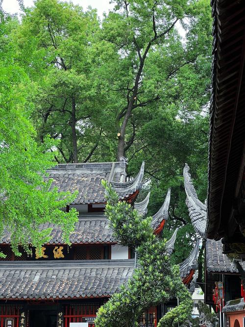 三、文殊院:香火中的禅意