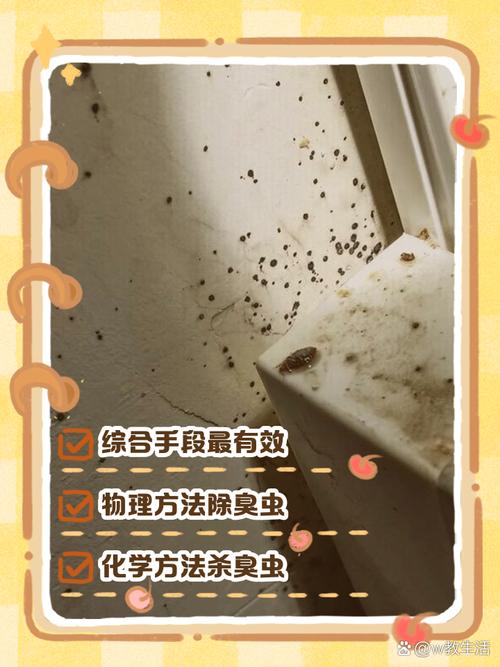3. 厨余垃圾处理，怎么才能不臭不招虫