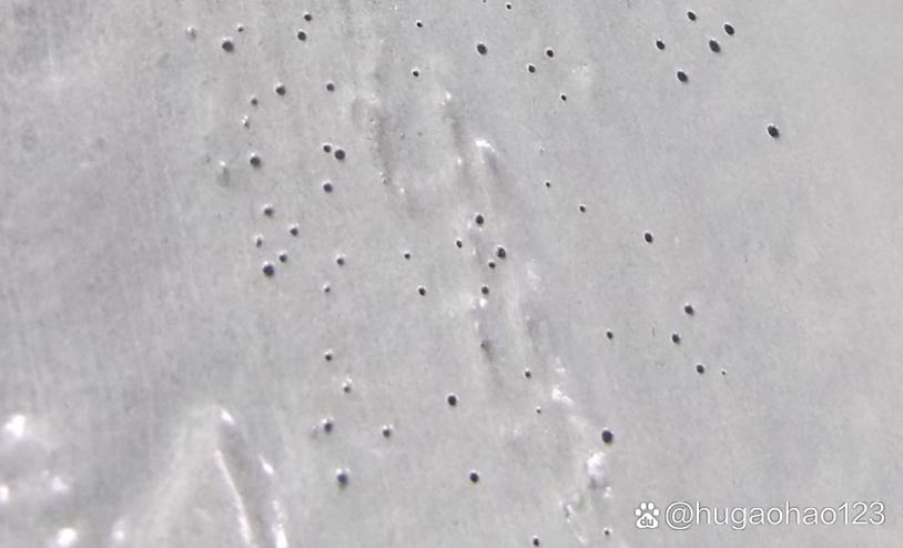 腐蚀后碳化硅涂层表面针孔显微图