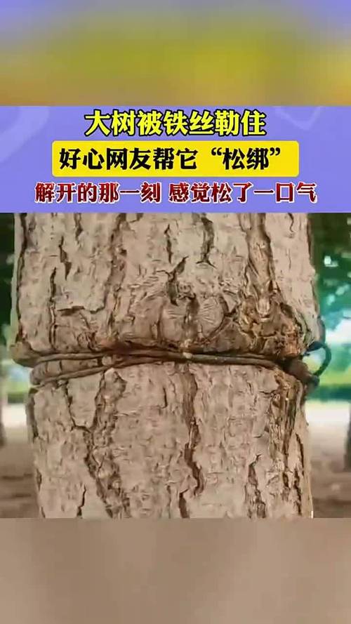 每天十分钟，慢慢帮它松绑