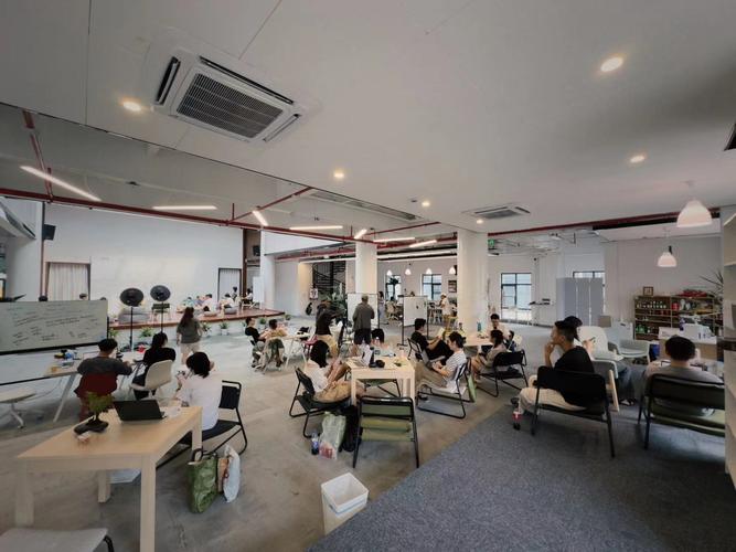 清迈联合办公空间数字游民工作场景