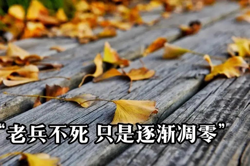四、浆糊不死,只是凋零