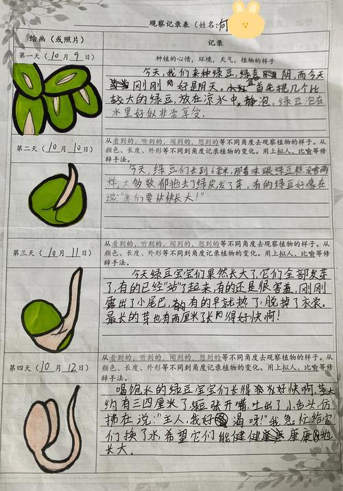 正面成长记录表涂色完成周历