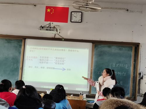 公开课突发投影故障教师现场