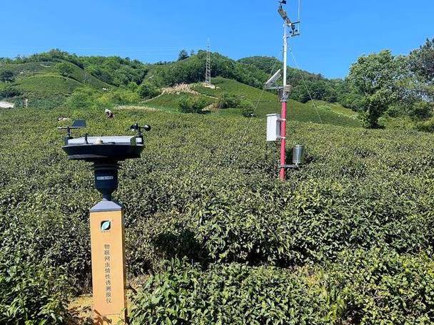 共同富裕技术贡献：那些藏在田野和代码里的实干