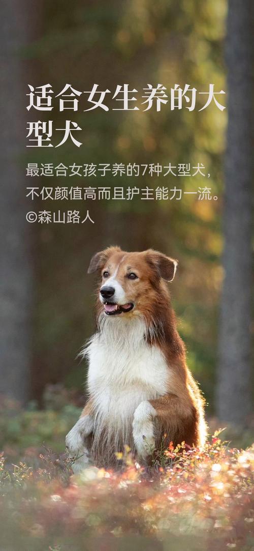 你看不见，它却天天护着你