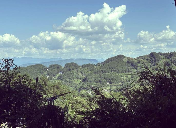 4. 綦江古剑山:高山草甸与安稳羊肉