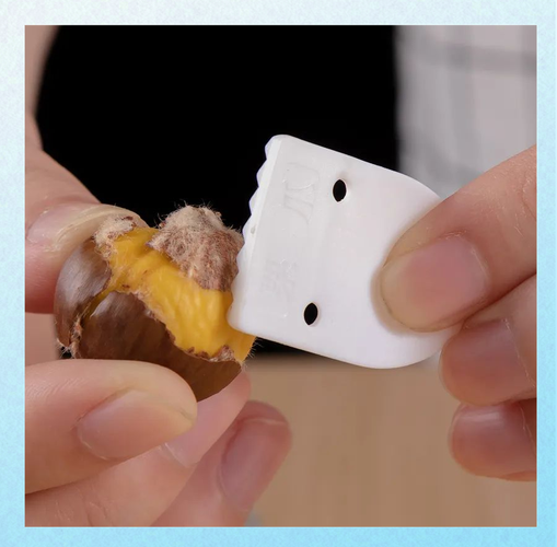 🌰 坚果碎是作弊器