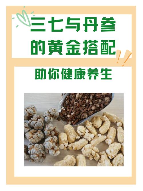 三、面子活儿——选材与搭配
