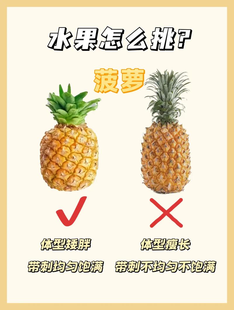 不同需求，怎么挑不踩坑？