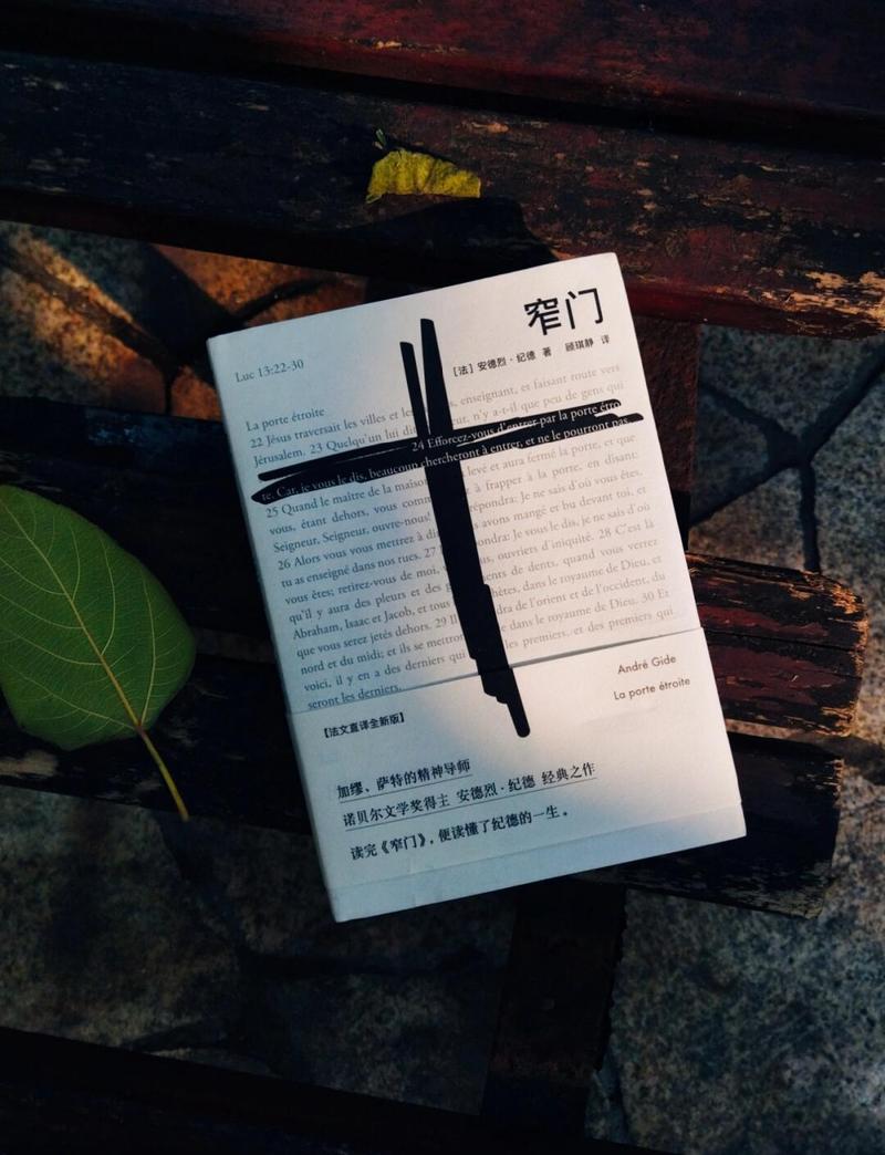 窄门里的新方向