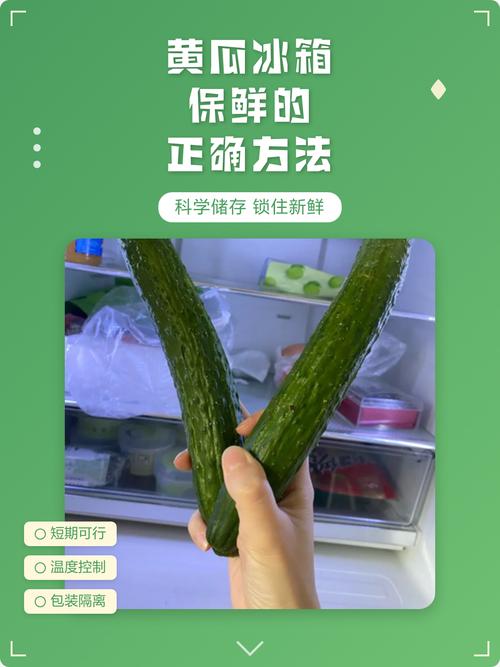 黄瓜用厨房纸巾包裹冷藏保存方法