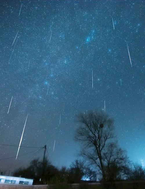 露营者在无光污染的环境中观赏英仙座流星雨