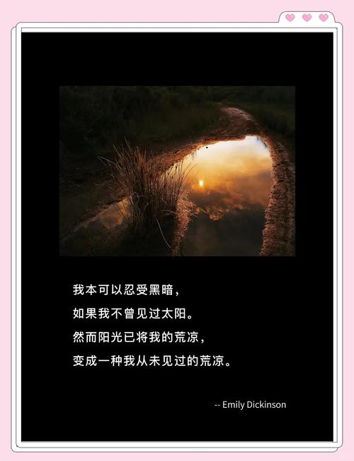 太阳不是万能的,但没它还真不行