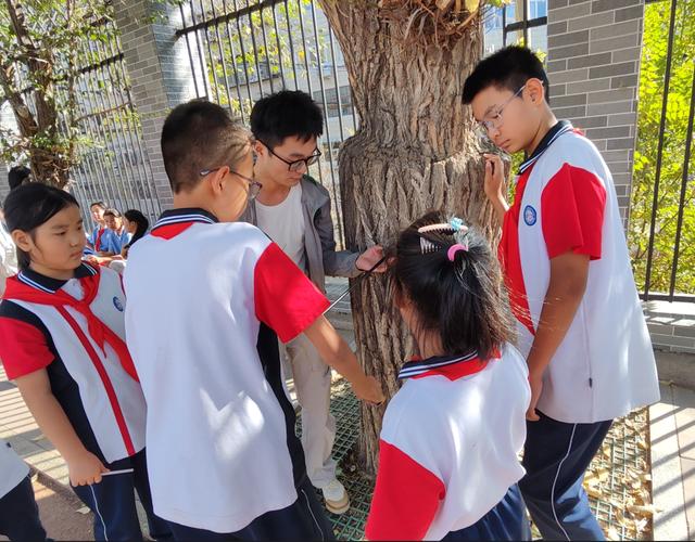 中小学生校园樟树问题跨学科探究活动现场