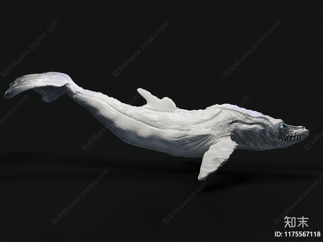 3D打印课程课堂上取出的断尾小鲸鱼模型