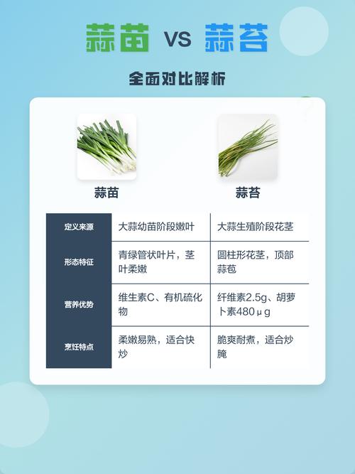 蒜苗、蒜苔与蒜头:一株植物的三段人生