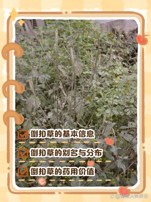 🌿 环保与验收,不能马虎