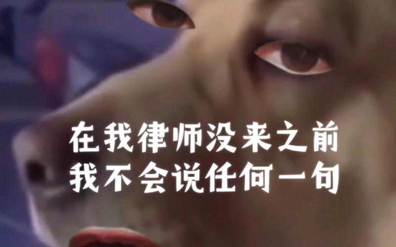 风险镜像：写任何一句前，先假设你是对方律师
