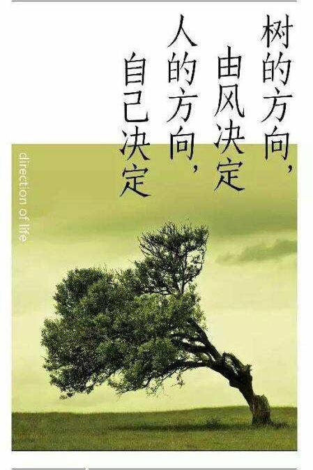 别把风口当你自己的方向
