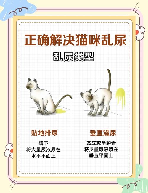 猫咪异常乱尿发病位置示意图