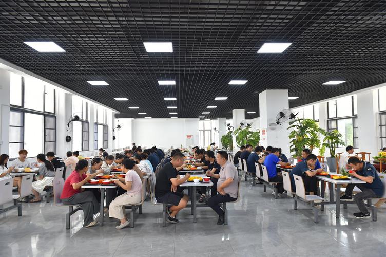 科技园区食堂午餐排队场景实拍
