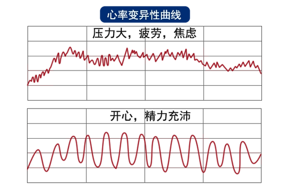 一天24小时精力波动曲线图