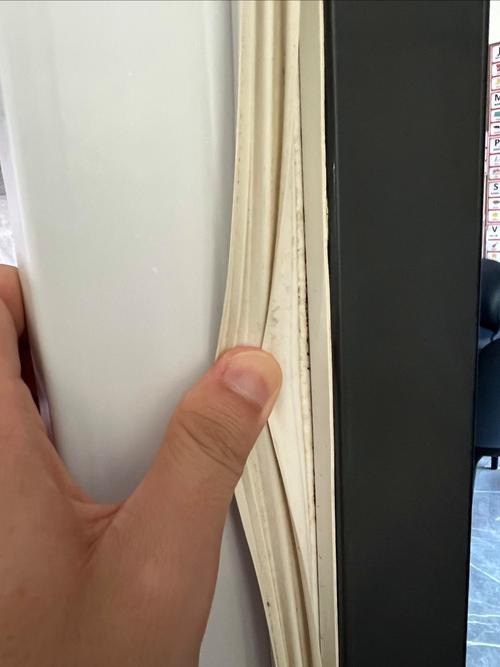 发霉的冰箱密封条特写