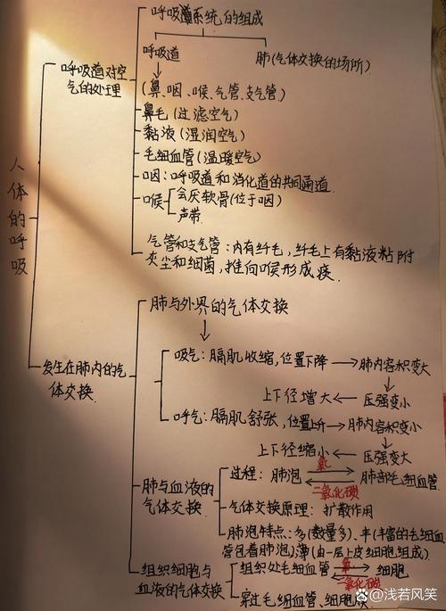 新课标下怎么搞定呼吸作用过程的记忆？