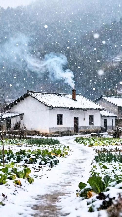 冬天北方农村老屋烟囱冒烟大雪覆盖