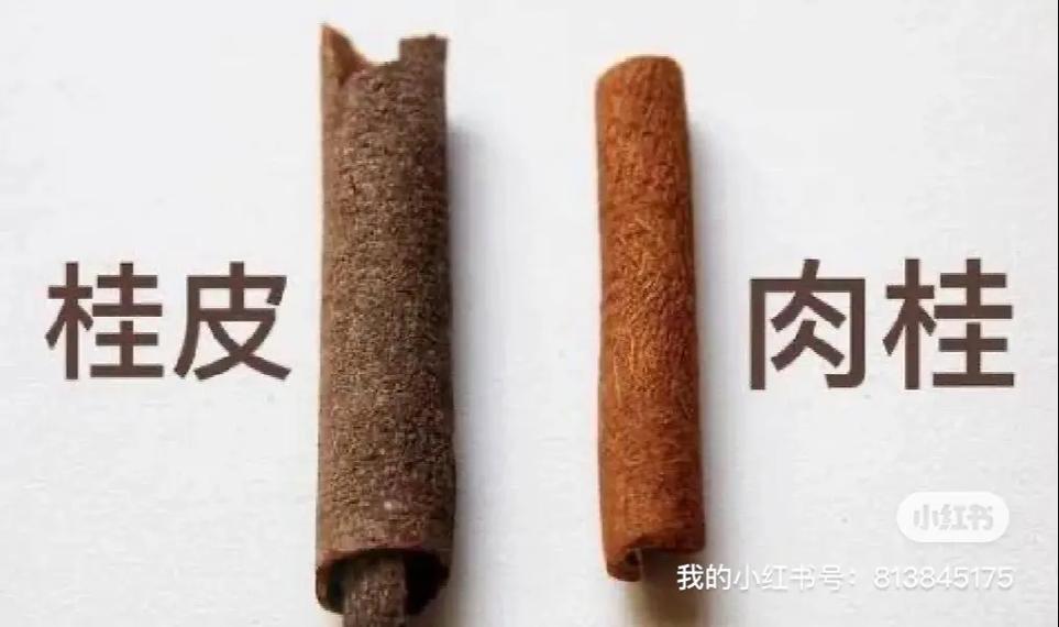 香料:你以为的万能调味,其实暗藏玄机-因为所以