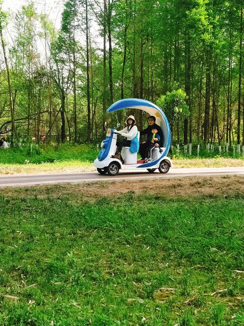 太阳河森林公园电瓶车