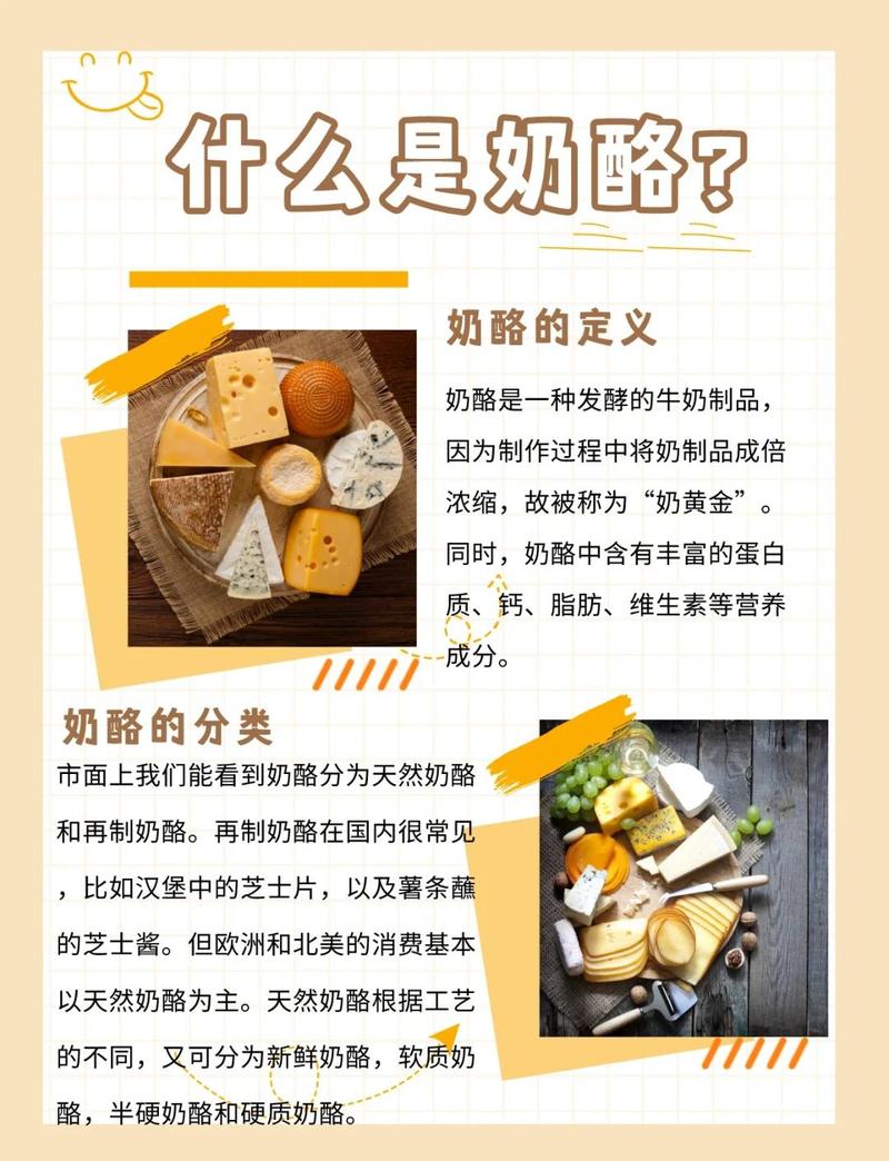 关于酸奶和奶酪,我想吐槽几句