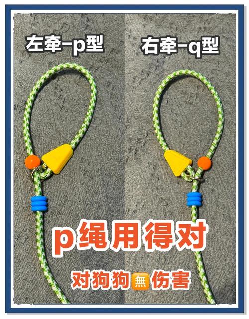 训练师教狗狗松绳随行示意图