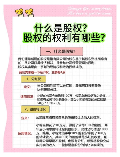 股东权力:小股东的泪与痛