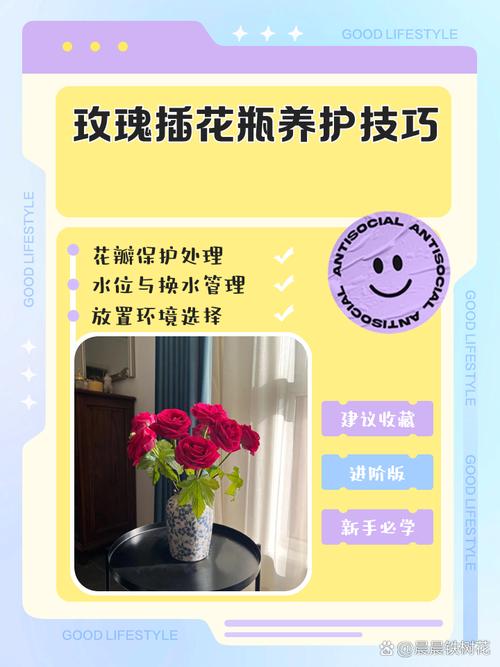 入住后维护：花瓶的保养清洁问题