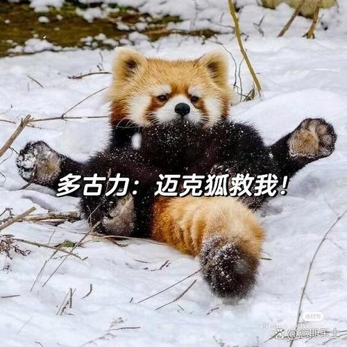第二个坑:信息战,比你想象的更残酷