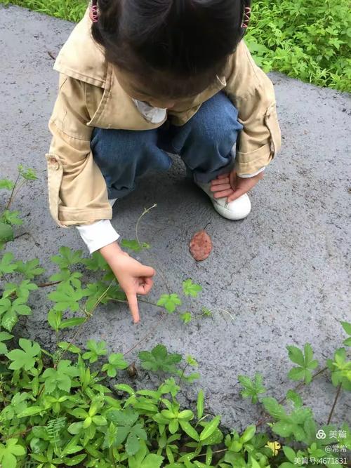 雨后小区绿化带孩子蹲地找蜗牛