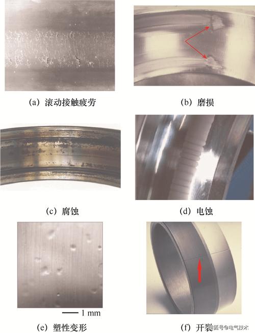 轴承微动腐蚀滚道表面形貌