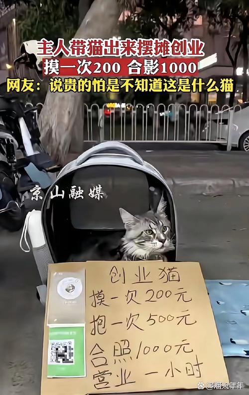 价格战下的猫腻，你可能想都想不到
