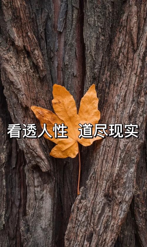 最后提句实在的