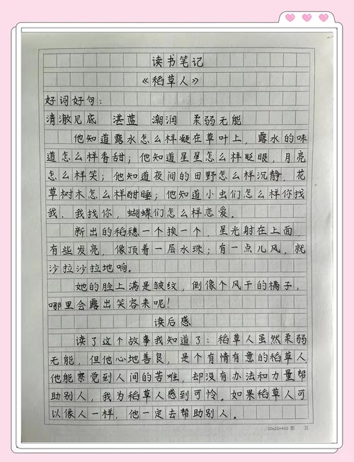 小学生语文阅读划重点笔记实拍
