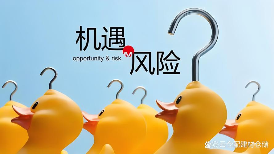 未来的风险与机会