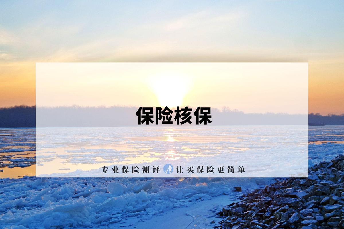 保险核保人员审核投保申请材料场景图