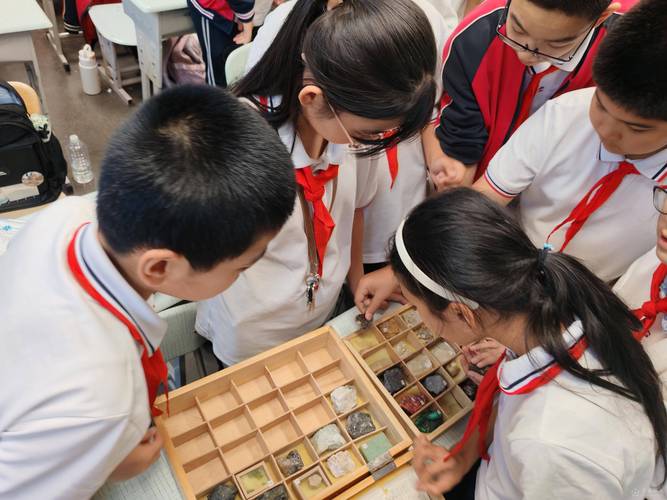 初中地理课学生围坐探究岩石标本现场