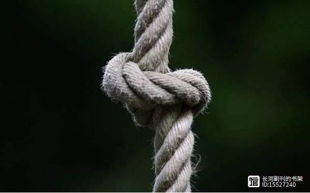 产业化根本绕不开的死结，没人敢明说