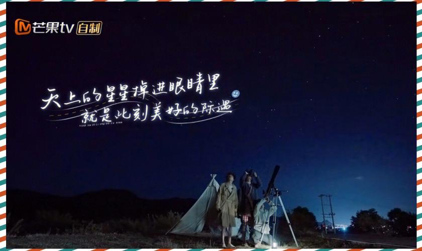 二（应为三，但保持跳跃）、我最终选的这家，其实因为一个细节