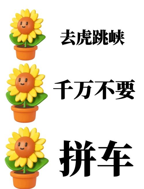 别急着上车,先看看我踩的坑